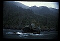 10555-00047-Bald Eagles, Haliaeetus leucocephalus.jpg