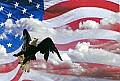 Eagle Flag and Sky.jpg