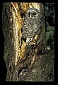 021907-00007-Various.jpg