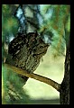 021907-00017-Various.jpg