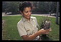 10567-00048-Screech Owl, Otus asio.jpg