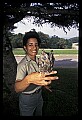 10567-00049-Screech Owl, Otus asio.jpg