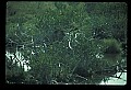 10581-00009-Osprey, Pandion halliaetus.jpg
