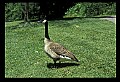 021907-00012-Various.jpg
