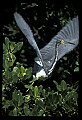 021907-00021-Various.jpg