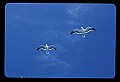 021907-00026-Various.jpg