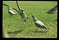 021907-00027-Various.jpg