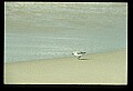 021907-00028-Various.jpg
