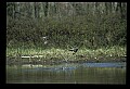 021907-00078-Various.jpg