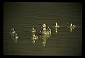 021907-00079-Various.jpg