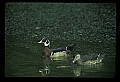 021907-00080-Various.jpg