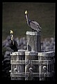 021907-00083-Various.jpg