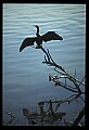 021907-00090-Various.jpg