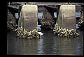10609-00111-Egrets, General.jpg