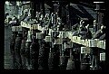 10665-00088-Pelicans, Cormorants and Anhingas-Brown Pelican.jpg