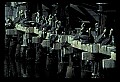 10665-00090-Pelicans, Cormorants and Anhingas-Brown Pelican.jpg