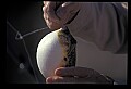 10800-00002-Fish-Pufferfish or Blowfish.jpg