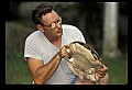 10801-00028-Turtles and Tortoises, Eastern Spiny Softshell Turtle.jpg