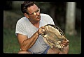 10801-00029-Turtles and Tortoises, Eastern Spiny Softshell Turtle.jpg