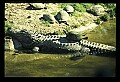 021907-00075-Various.jpg