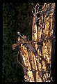 10954-00042-Snakes-All.jpg