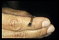 10954-00056-Snakes-All.jpg