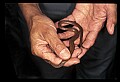 10954-00077-Snakes-All.jpg