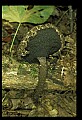 1-6-07-00307NS.jpg