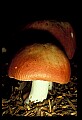 1-6-07-00309NS.jpg