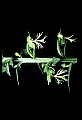01117-00032-Ragged-fringed Orchid, Platanthera lacera.jpg