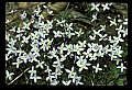 030607-00004-various.jpg