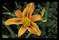 030607-00002-various.jpg