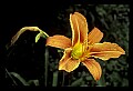 030607-00003-various.jpg