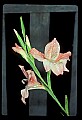 01025-00142-Pink Flowers-Pink Lily.jpg