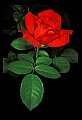 030607-00007-various.jpg