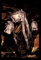 01001-00441-White Flowers.jpg
