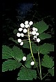 030607-00057-various.jpg
