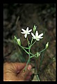 030607-00060-various.jpg