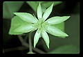 1-6-07-00328-mint.jpg