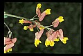 030607-00011-various.jpg