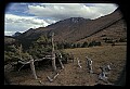 02400-00019-Colorado Scenes-Pikes Peak, 14,110 feet.jpg