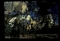 02400-00029-Colorado Scenes.jpg