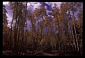 02400-00092-Colorado ScenesTin Cup Pass, Sawatch Range.jpg