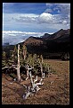 02400-00099-Colorado Scenes-Pikes Peak.jpg