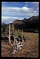 02400-00100-Colorado Scenes-Pikes Peak.jpg