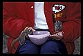 02400-00104-Colorado Scenes-Chipmunk.jpg
