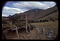 02400-00109-Colorado Scenes.jpg