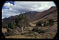 02400-00111-Colorado Scenes.jpg