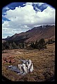 02400-00113-Colorado Scenes.jpg