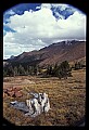 02400-00114-Colorado Scenes.jpg